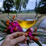 PXL_20230731_194301545.MP~2 lumineux